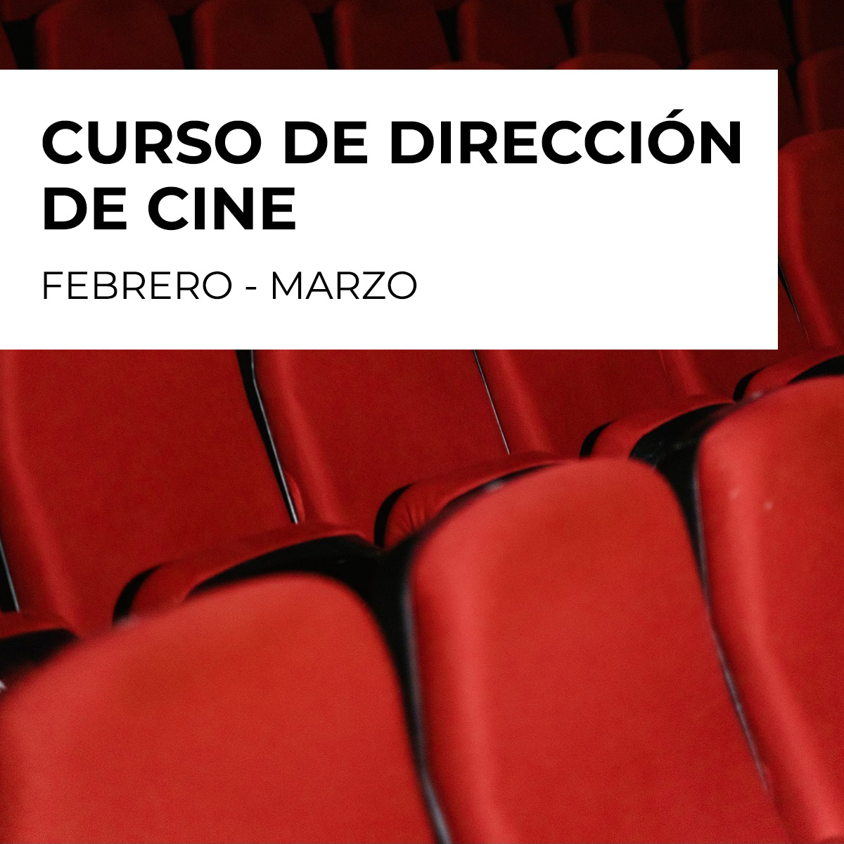 direcciondecinecuadrdada