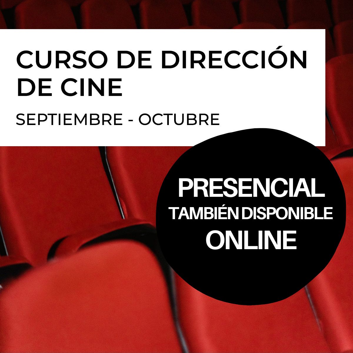 DIR OCT CUA